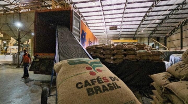 PEQUENOS PRODUTORES DE CAFÉ ENFRENTAM RISCO EXISTENCIAL COM TARIFA DE 50% IMPOSTA PELOS EUA