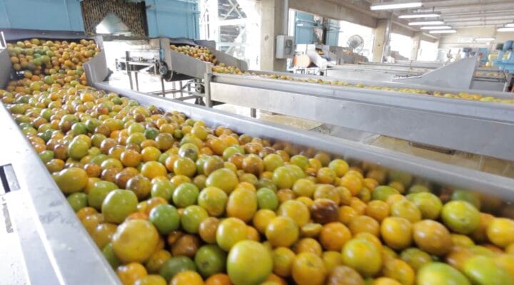 TARIFA DE TRUMP SOBRE SUCO DE LARANJA PÕE EM RISCO 200 MIL EMPREGOS NO BRASIL